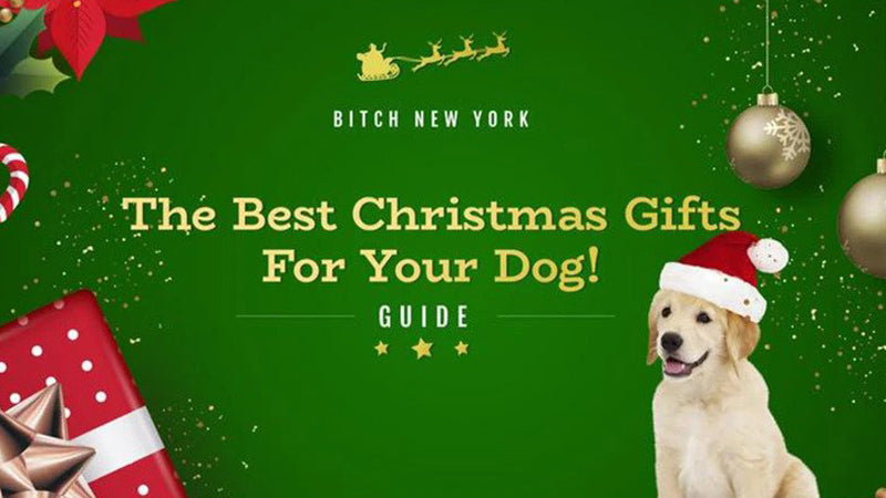 Top 15 Christmas Gifts For Your Dog