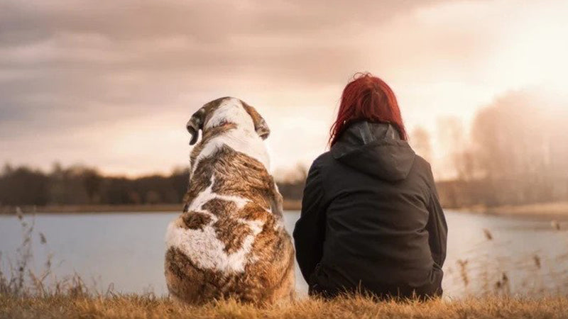 Buying Guide: Gifts for Women Who Love Dogs