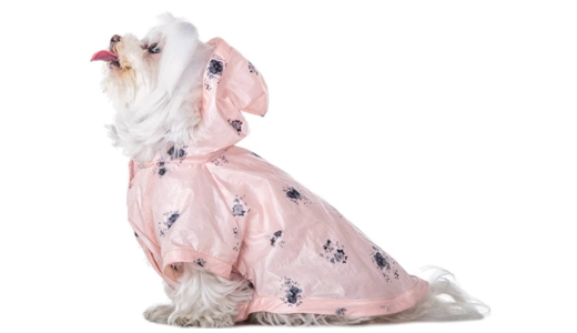 The Top 5 Best Waterproof Dog Raincoats With A Hood