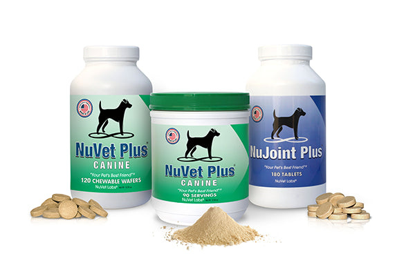 Your Puppy Deserves The Best Start In Life