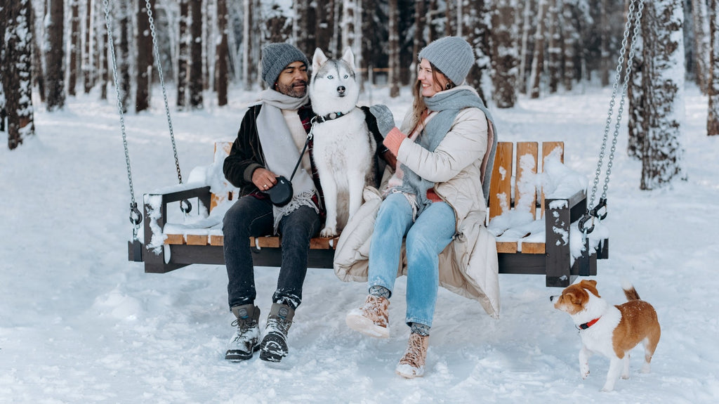 Winter Games For Dogs: Fun Outdoor and Indoor Activities