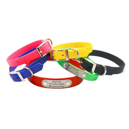 Designer Dog Collars: Luxury Collars For Your Pup – Bitch New York