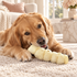 10-12" Beef Cheek Roll Dog Chew