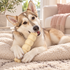 10-12" Beef Cheek Roll Dog Chew