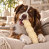 10-12" Beef Cheek Roll Dog Chew