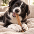 10-12" Beef Collagen Stick Dog Chew