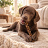 10-12" Braided Collagen Stick Dog Chew