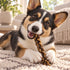 10-12" Braided Collagen Stick Dog Chew