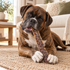 12" Beef Jerky Strip Dog Chew