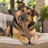 12" Beef Jerky Strip Dog Chew