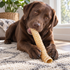 12" Beef Trachea Dog Chew