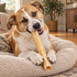 12" Beef Trachea Dog Chew