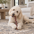 12" Braided Jerky Stick Dog Chew
