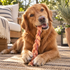 12" Thick Braided Bully Stick Dog Chew