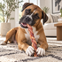 12" Thick Braided Bully Stick Dog Chew