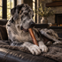 12" Jumbo Bully Stick Dog Chew