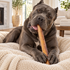 12" Monster Bully Stick Dog Chew