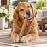 12" Monster Bully Stick Dog Chew