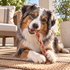 12" Standard Braided Bully Stick Dog Chew