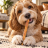 12" Standard Bully Stick Dog Chew