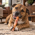 12" Thick Bully Stick Dog Chew