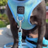 3-in-1 City Dog Leash Ocean