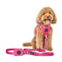 3-in-1 City Dog Leash Park Ave Pink