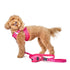3-in-1 City Dog Leash Park Ave Pink