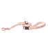 3-in-1 City Dog Leash Sweetheart