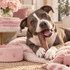 5-6" Collagen Champion Dog Chew