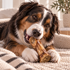 5-6" Marrow Dog Bone