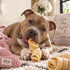 5-6" Peanut Butter Cheek Roll Dog Chew