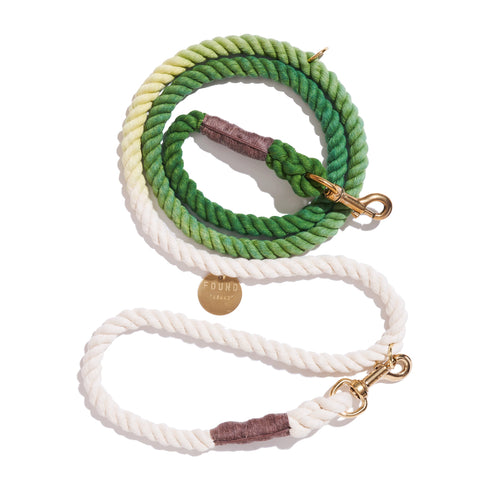 Adjustable Bolt Snaps Rope Dog Leash Fern Green Ombre