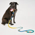 Adjustable Cotton Rope Dog Leash Azure Ombre