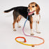 Adjustable Cotton Rope Dog Leash Soleil Ombre