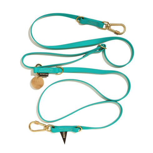 Adjustable Water Resistant Dog Leash Aqua