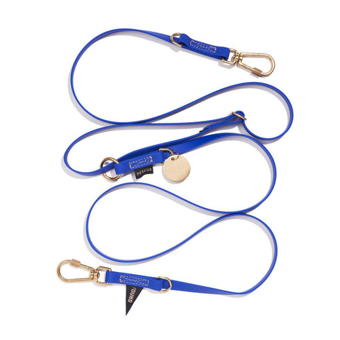 Adjustable Water Resistant Dog Leash Bright Blue