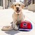 All American Dog Club Trucker Hat Dog Toy