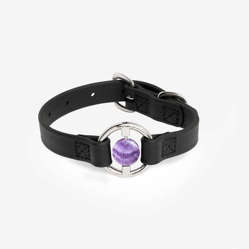 All Eyes On Me Dog Collar Black/Chevron Amethyst
