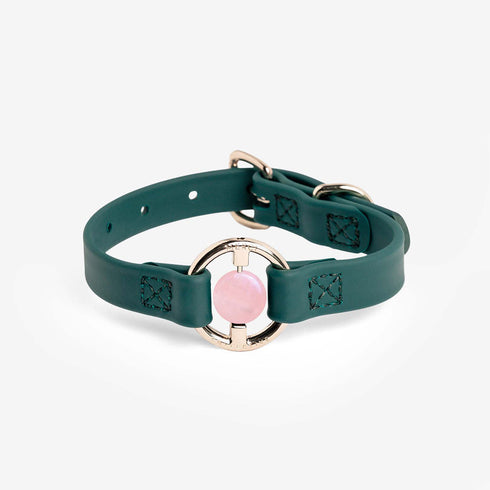 All Eyes On Me Dog Collar Jungle Green/Rose Quartz