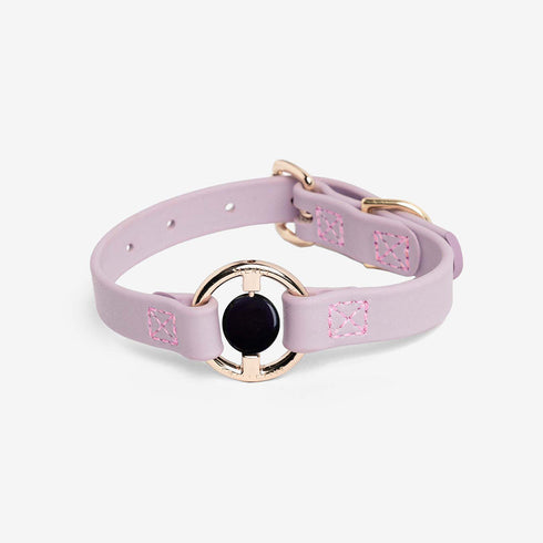 All Eyes On Me Dog Collar Lilac Haze/Black Obsidian