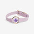 All Eyes On Me Dog Collar Lilac Haze/Chevron Amethyst