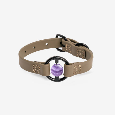 All Eyes On Me Dog Collar Martini Olive/Chevron Amethyst