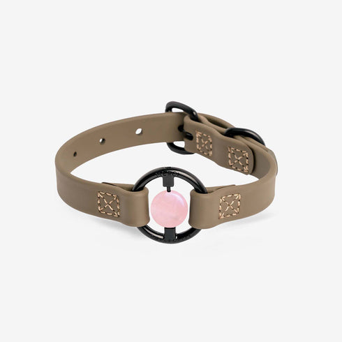 All Eyes On Me Dog Collar Martini Olive/Rose Quartz