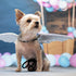 Angel Wings Dog Costume