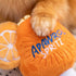 Apawrol Spritz Dog Toy