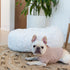 Arctic Shag Donut Dog Bed White