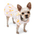 Banana Dog Dress