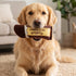 Barkbells Pawtein Bar Dog Toy