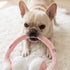 Barks Headphones Dog Toy